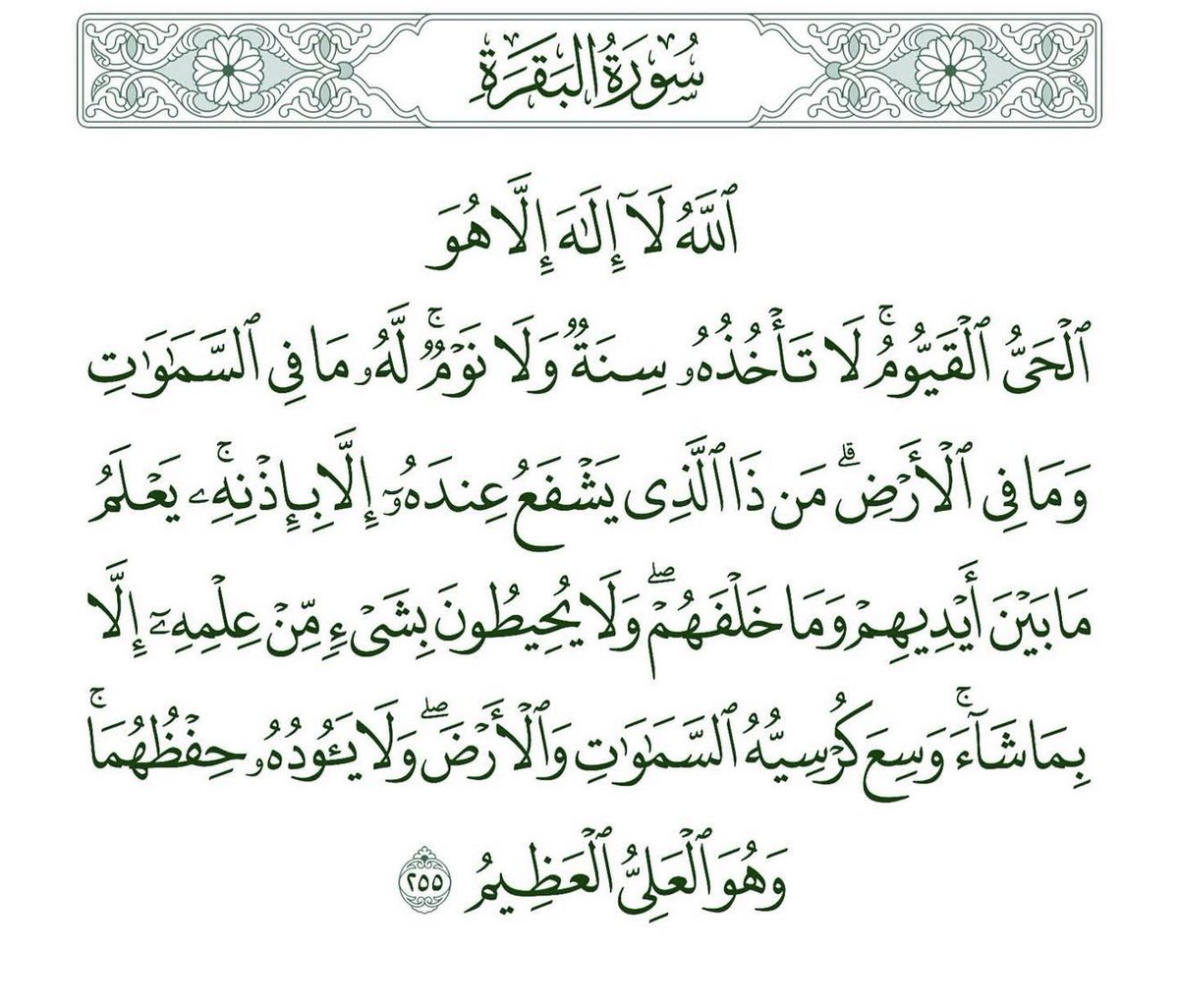 حماده 🕹️ tweet media