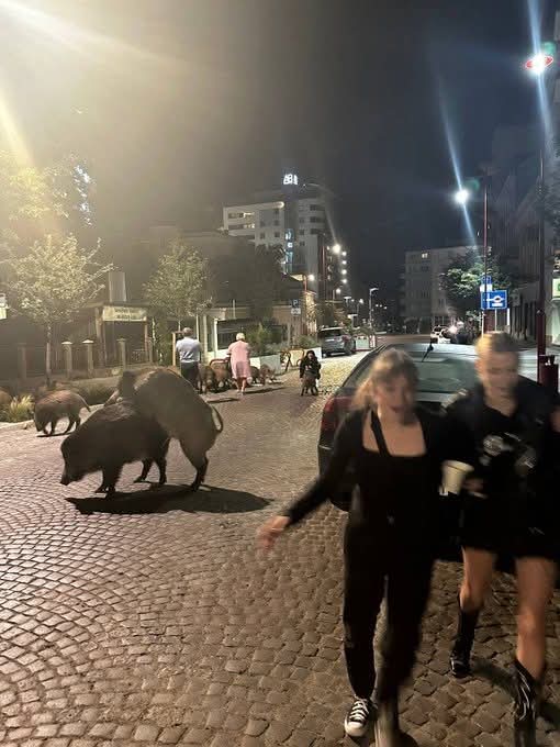 AjaTollaH GPW tweet media