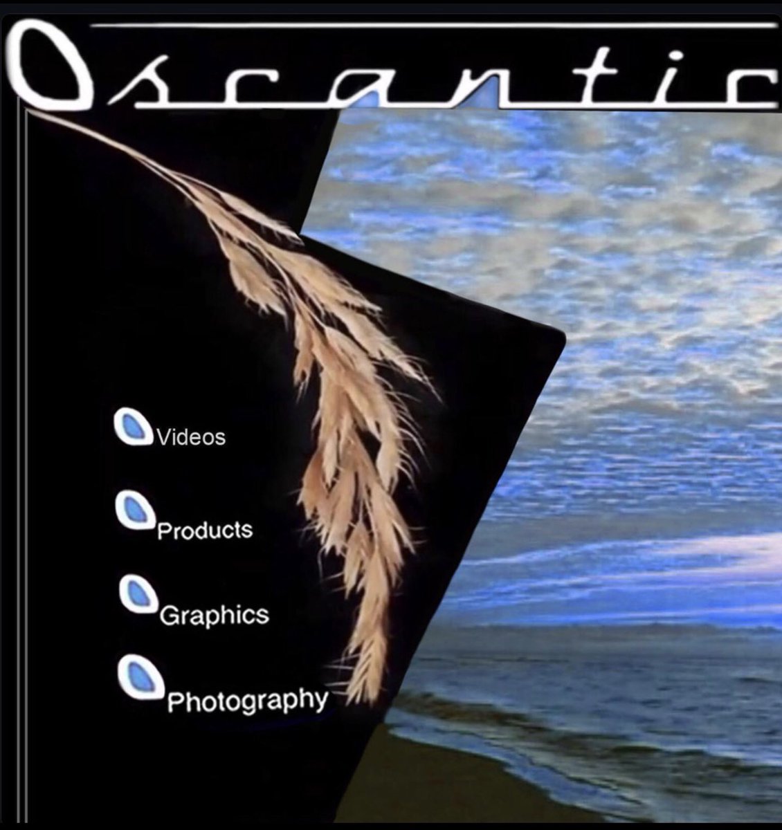 Oscantic tweet media