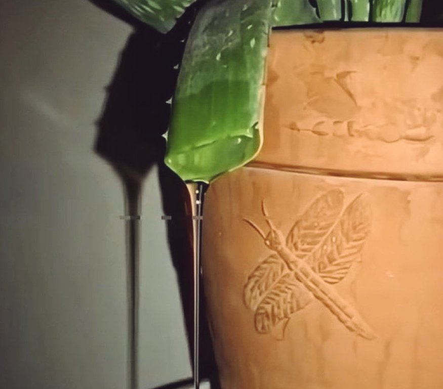 𝐏𝐀𝐍𝐆𝐎𝐋𝐈𝐌 tweet media