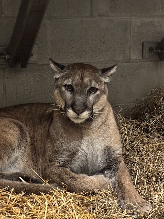 WMNF 88.5 FM tweet media