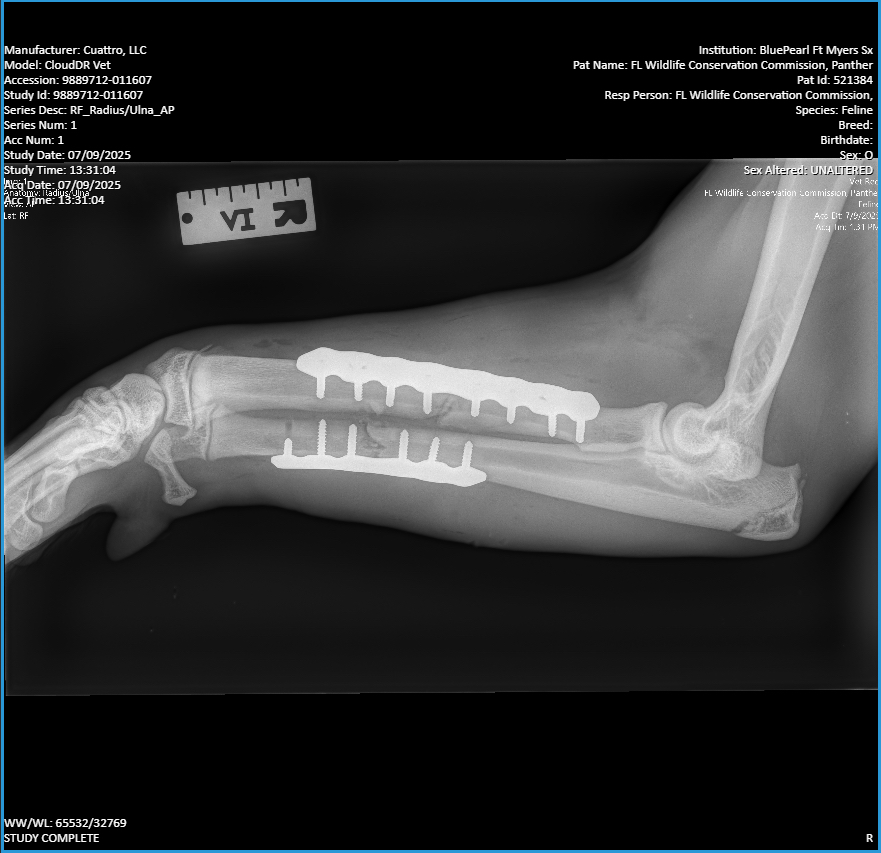 WMNF 88.5 FM tweet media