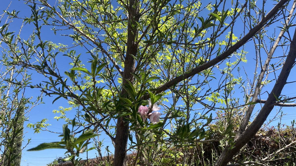 José Molina 🍂⛈️🌬️ tweet media