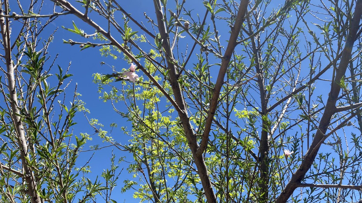 José Molina 🍂⛈️🌬️ tweet media