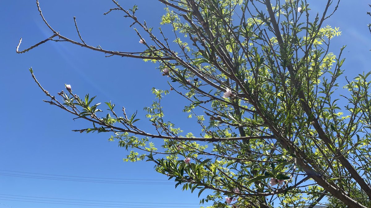 José Molina 🍂⛈️🌬️ tweet media