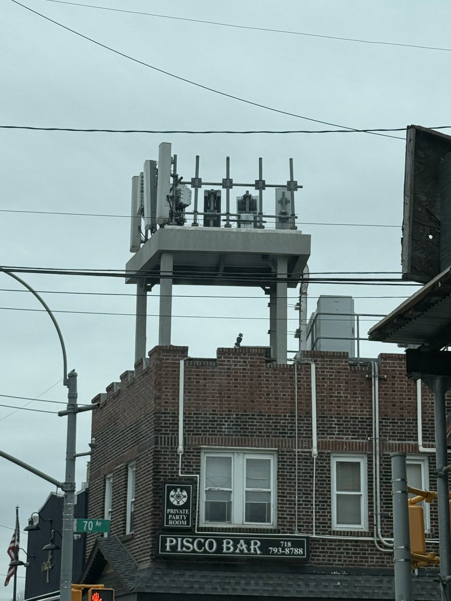 Queens Crapper tweet media