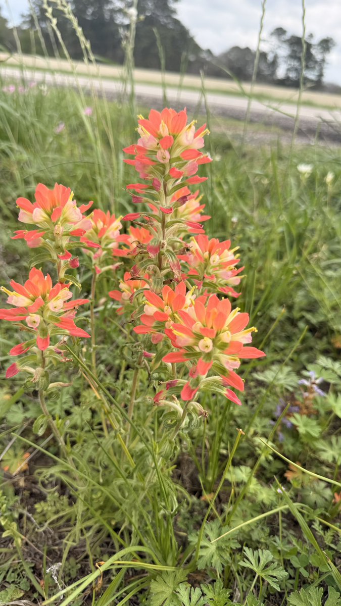 Kenneth Cloud tweet media