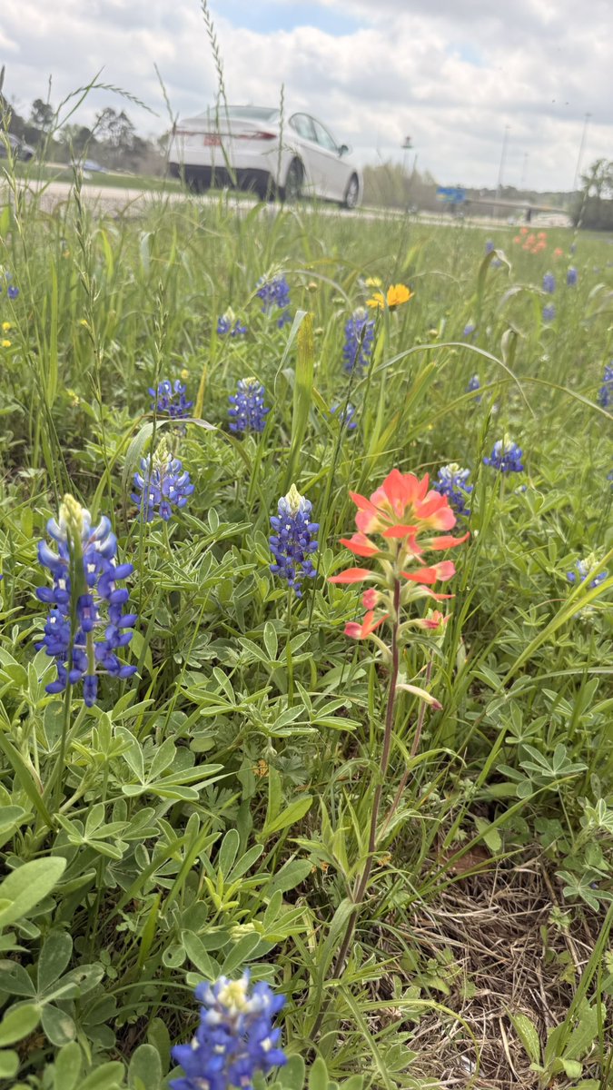 Kenneth Cloud tweet media