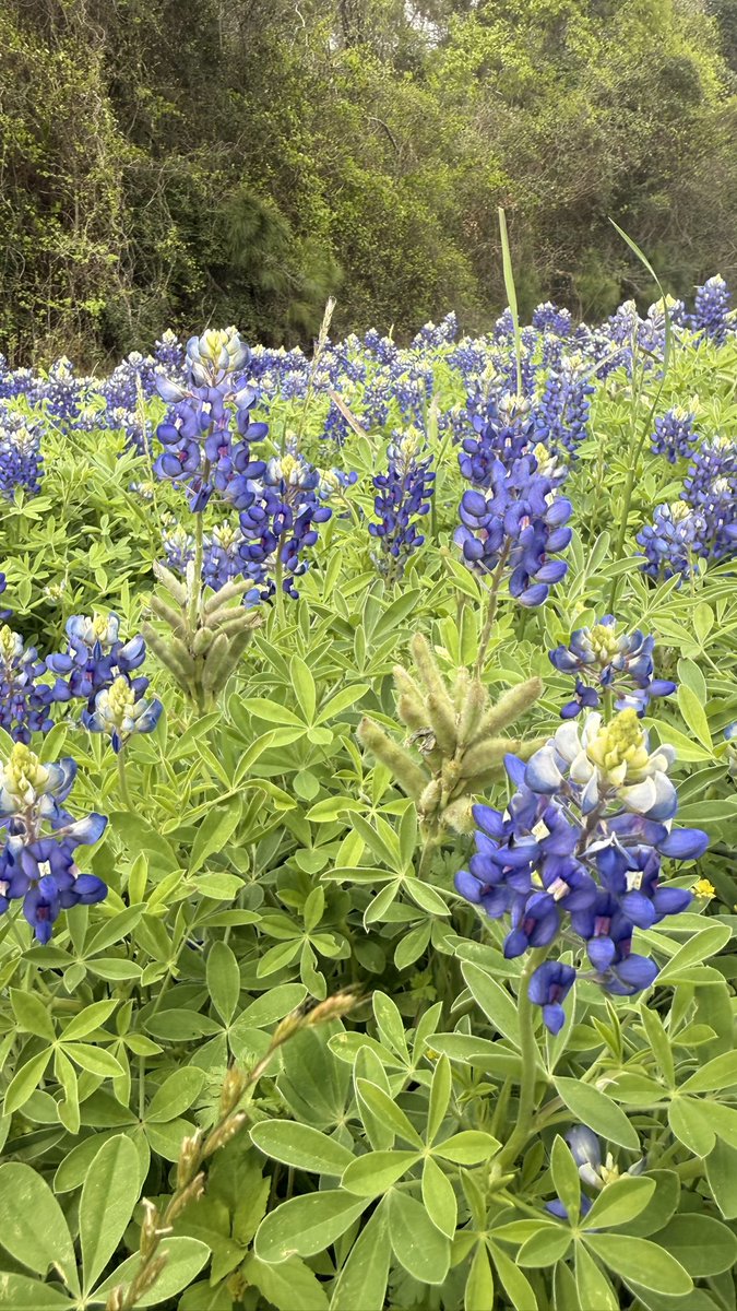 Kenneth Cloud tweet media