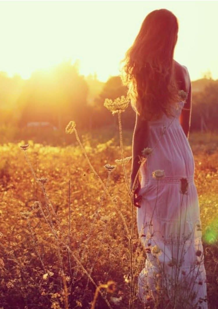 🦋Elayne tweet media