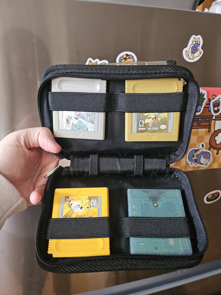 𝕊𝕙𝕠𝕦𝕝𝕕𝕖𝕣 ✨ tweet media