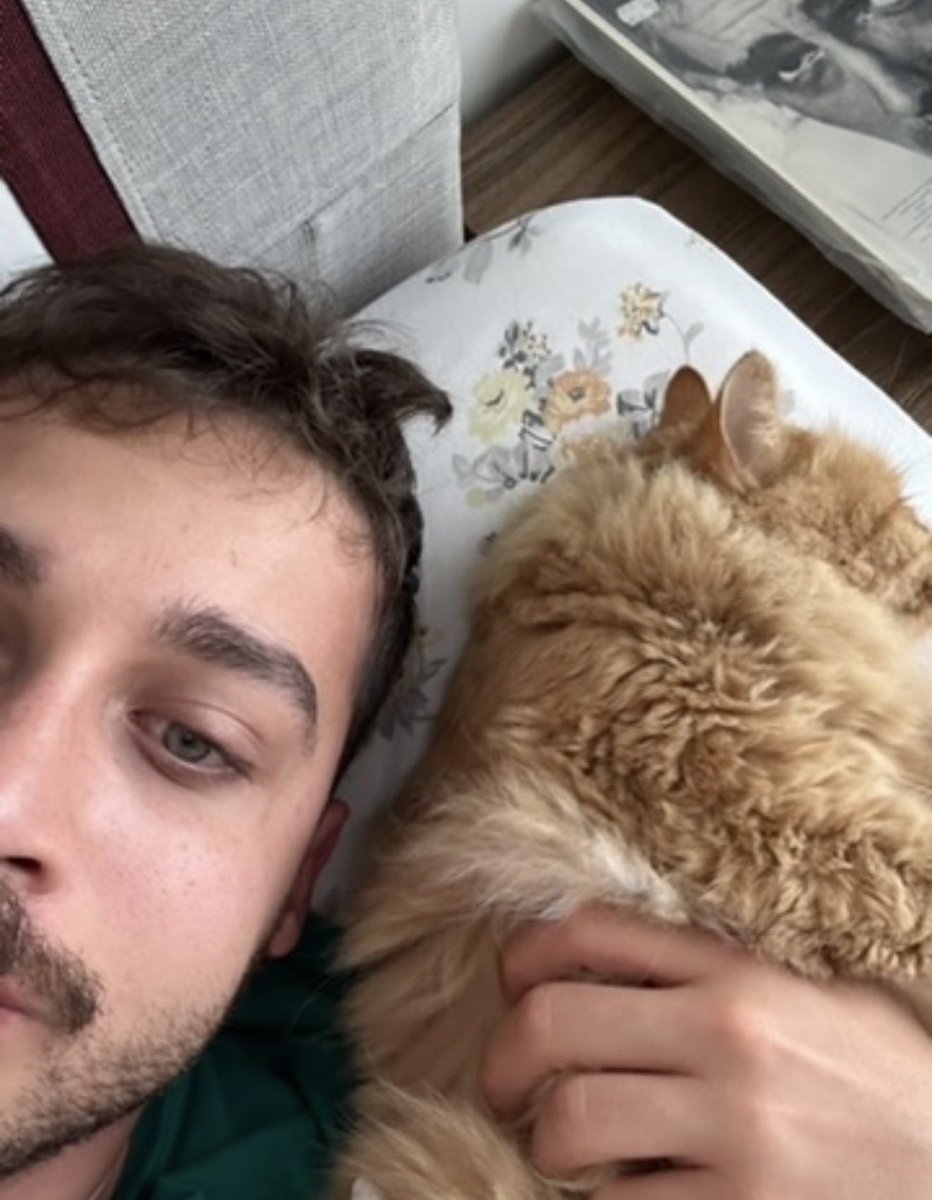 Selim | سليم tweet media