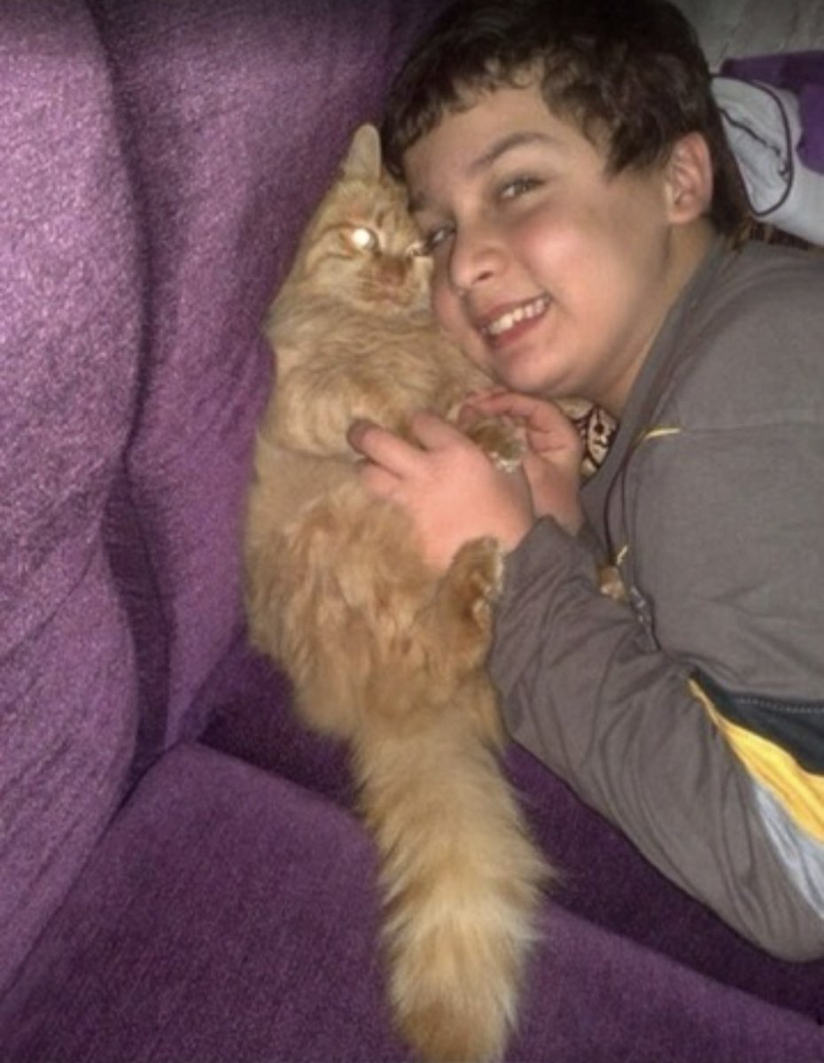 Selim | سليم tweet media