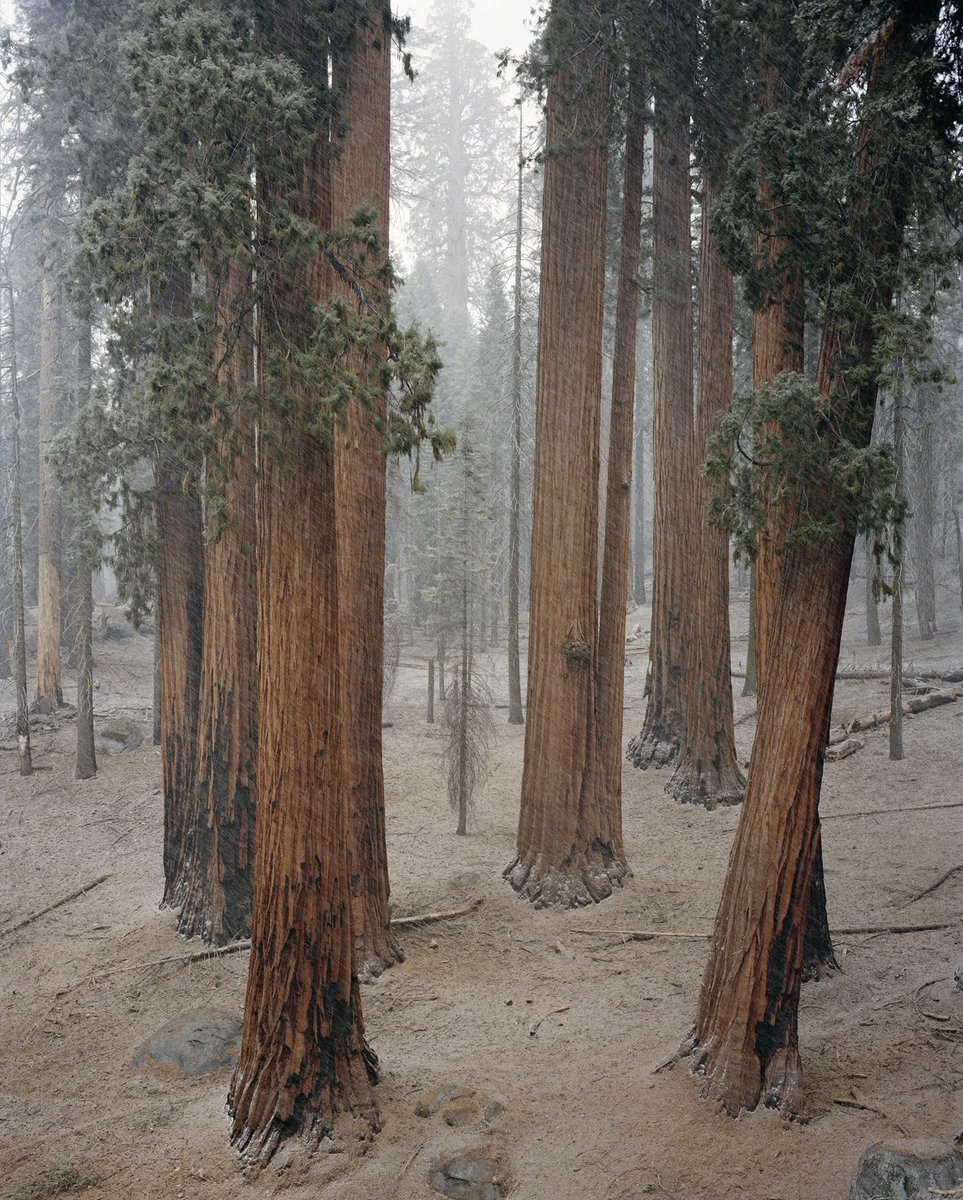 Composition tweet media