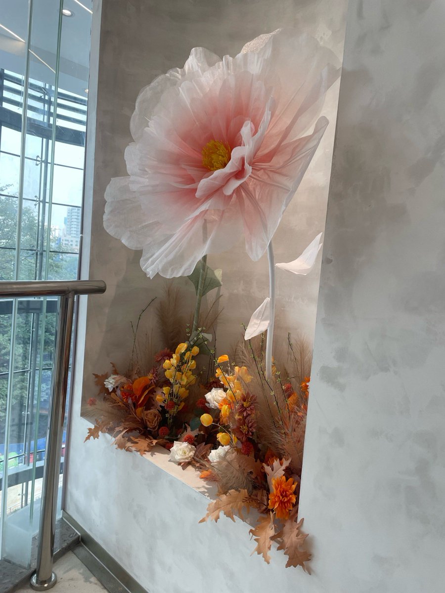 Jeremy Morris tweet media