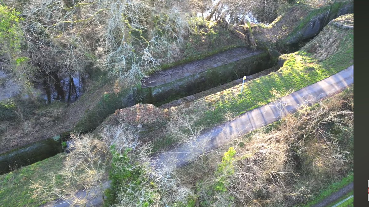 Court Above The Cut tweet media