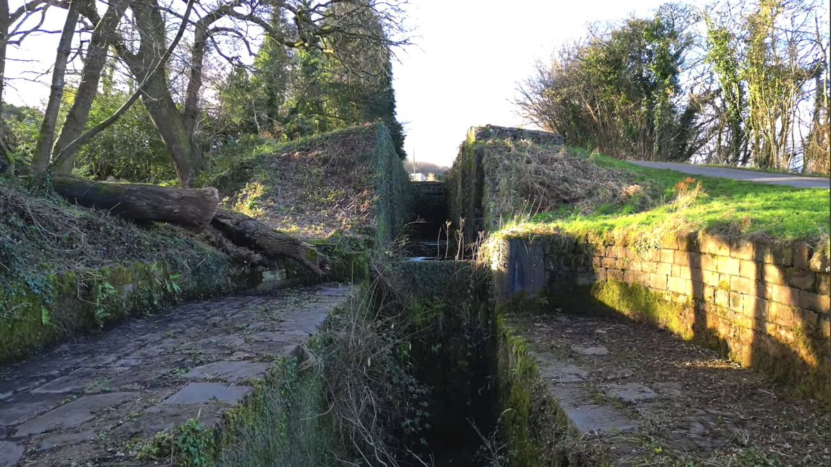 Court Above The Cut tweet media