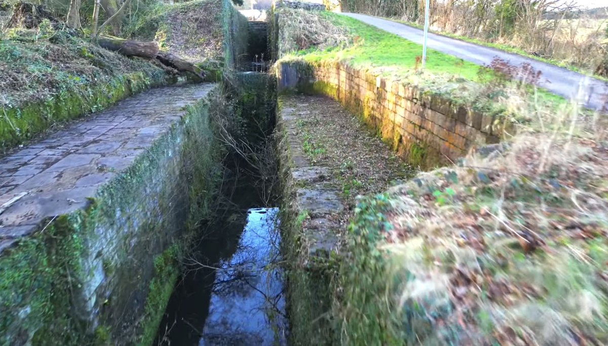 Court Above The Cut tweet media