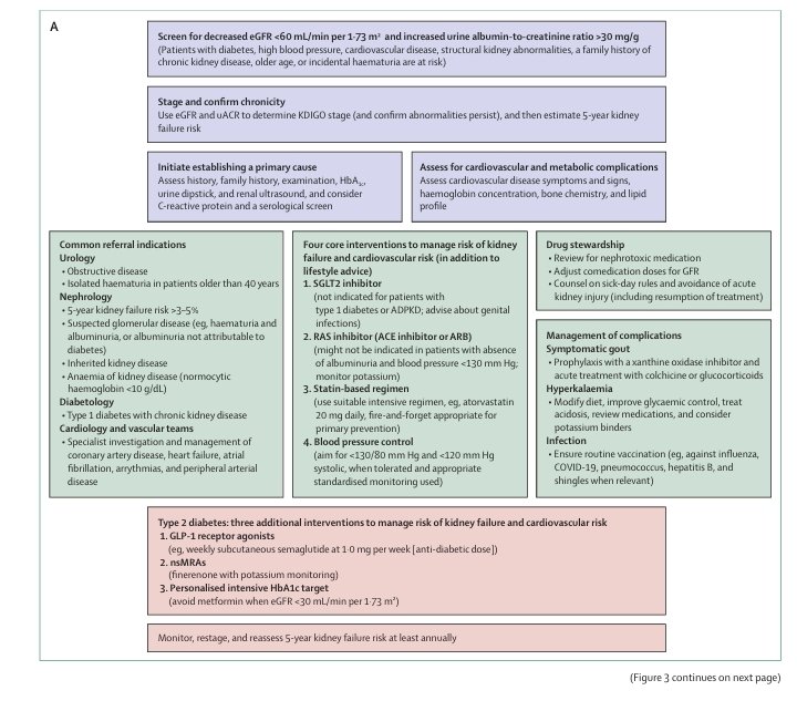 rksanti's tweet photo. 🧵 Enfermedad Renal Crónica (ERC): 2026
El nuevo seminario de The Lancet sintetiza el estado actual de la ERC, una enfermedad silenciosa que está redefiniendo la medicina cardio-renal-metabólica.
🌍 1. La magnitud del problema
La ERC es una de las mayores amenazas sanitarias globales:
📊 ~ 850 millones de personas viven con ERC
🩺 ~ 4 millones requieren terapia de reemplazo renal
📈 Para 2050 será la 5ª causa de muerte mundial 
Pero el dato más importante:
⚠️ La mayoría de pacientes con ERC mueren por enfermedad cardiovascular antes de llegar a diálisis. 
➡️ La ERC es, ante todo, una enfermedad cardiovascular sistémica.
🧪 2. Diagnóstico: simple, barato y subutilizado
El diagnóstico se basa en dos pruebas:
🔹 TFG estimada (eGFR)
🔹 Relación albúmina/creatinina urinaria (uACR)
La ERC se define como alteraciones estructurales o funcionales del riñón ≥3 meses con impacto en salud. 
Clasificación KDIGO (C-G-A):
C → causa
G → filtrado glomerular
A → albuminuria
💡 Albuminuria puede aparecer antes de la caída de la TFG, por lo que su medición es crítica para detección temprana. 
⚠️ 3. Factores de riesgo clave
La ERC hoy está impulsada por la epidemia cardiometabólica:
🩸 Diabetes (principal causa global)
📈 Hipertensión
⚖️ Obesidad
❤️ Enfermedad cardiovascular
👵 Envejecimiento poblacional
En muchos países, la nefropatía diabética ya superó a las glomerulonefritis como causa principal de ERC. 
❤️ 4. La conexión cardio-renal
TFG <60 ml/min o albuminuria ≥A2 se asocian con aumento de:
🫀 Infarto
🧠 ACV
💔 Insuficiencia cardiaca
⚡ Muerte súbita
Esto explica por qué la ERC es ahora el núcleo del síndrome cardio-renal-metabólico. 
💊 5. El gran cambio terapéutico (2019-2025)
Durante décadas, el tratamiento se limitaba a:
• Control de presión arterial
• Inhibidores del sistema renina-angiotensina
Ahora el paradigma cambió.
El artículo define 4 intervenciones núcleo para todos los pacientes con ERC:
1️⃣ iSGLT2
2️⃣ IECA/ARA II
3️⃣ Estatinas
4️⃣ Control intensivo de presión arterial 
📉 Los iSGLT2 reducen el riesgo de falla renal ~30% y hospitalización por IC ~40%. 
🧠 6. En diabetes: triple terapia moderna
En pacientes con ERC y diabetes tipo 2 se suman tres estrategias:
💉 Agonistas GLP-1 (ej. semaglutida)
💊 Finerenona (nsMRA)
🎯 Control individualizado de HbA1c
El ensayo FLOW mostró que semaglutida reduce eventos renales mayores ~25%. 
📊 7. Estratificación de riesgo moderna
El artículo destaca la importancia de usar:
🧮 Kidney Failure Risk Equation
Variables:
• edad
• sexo
• eGFR
• uACR
Permite estimar riesgo de diálisis a 2 y 5 años, ayudando a decidir derivación a nefrología. 
⚕️ 8. Qué debería hacer cualquier clínico hoy
El seminario deja un mensaje claro:
📌 La ERC ya no es solo problema del nefrólogo.
Todo clínico debería:
✔️ Tamizar pacientes de riesgo
✔️ Iniciar terapias cardio-renales
✔️ Evitar nefrotóxicos
✔️ Tratar agresivamente factores cardiovasculares
🫀Una implementación global de estas medidas podría reducir sustancialmente la carga mundial de ERC. 
🧠 Conclusión
La ERC está pasando de ser una enfermedad terminal a una patología prevenible y tratable, gracias a la medicina cardio-renal moderna.
Pero el desafío no es descubrir terapias nuevas.
⚠️ Es implementar las que ya tenemos
Si te interesa análisis clínico de artículos recientes de medicina interna:
📲 Sígueme en X: @rksanti
📚 Únete a mi canal de artículos médicos:
https://t.co/zSvrxOP1L9