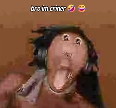 笑笑：ririanimations tweet media