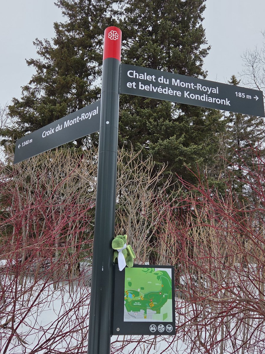 advanced persistent imposter tweet media