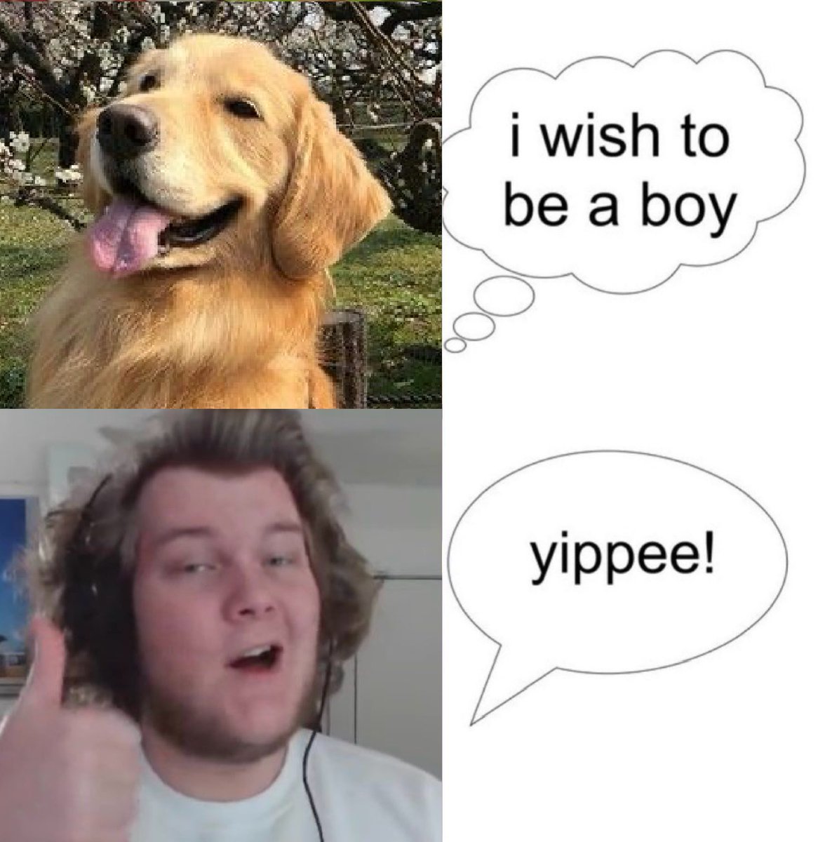 ballista, #1 detch shipper 🐈⬛🐉 tweet media