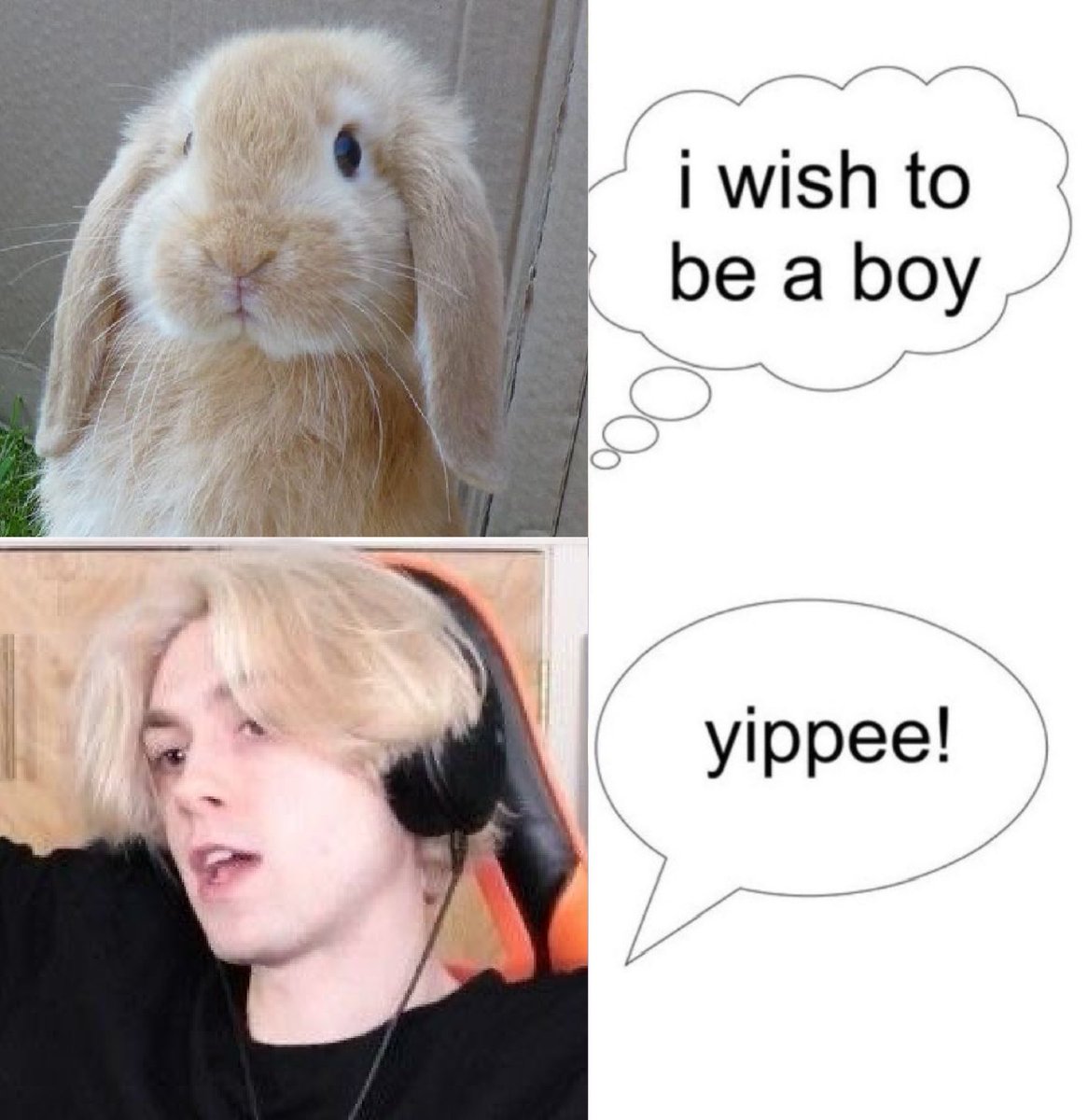 ballista, #1 detch shipper 🐈⬛🐉 tweet media