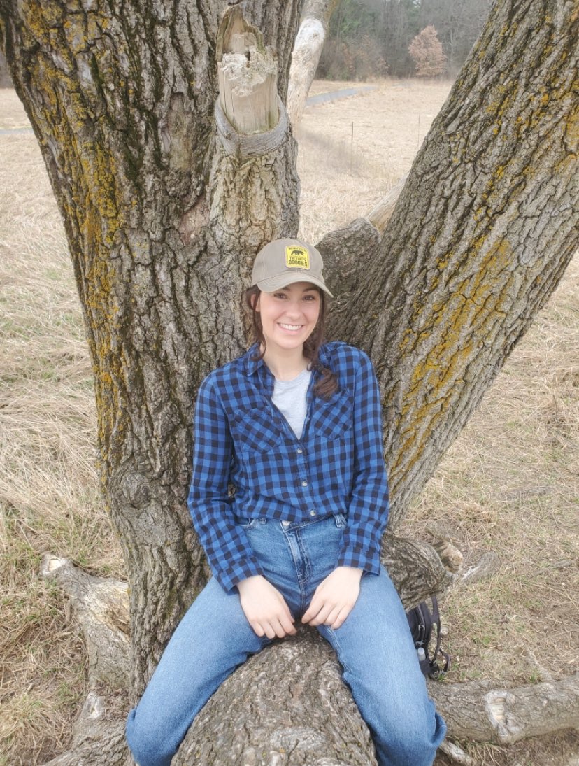 Taylor Silverman tweet media