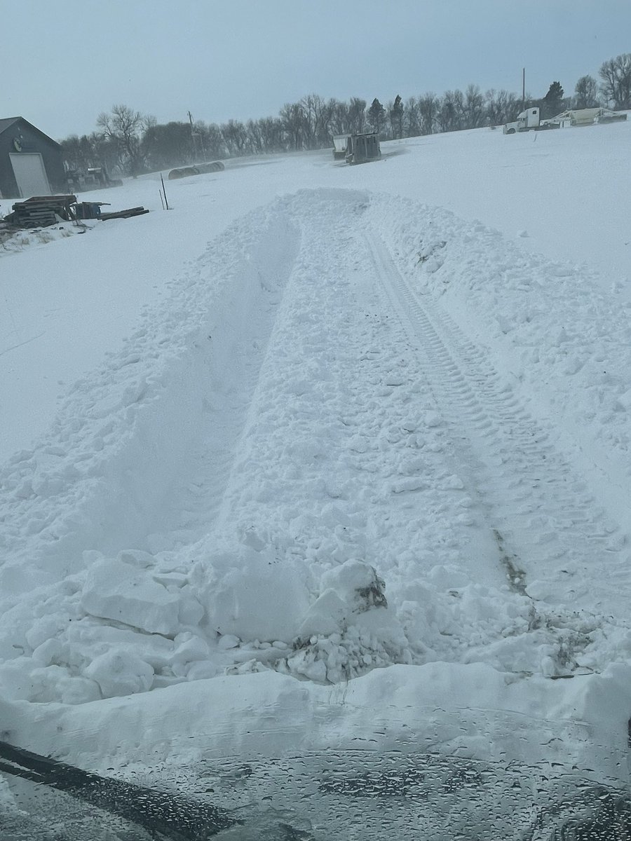 ~605~ ShittalkerFFS tweet media