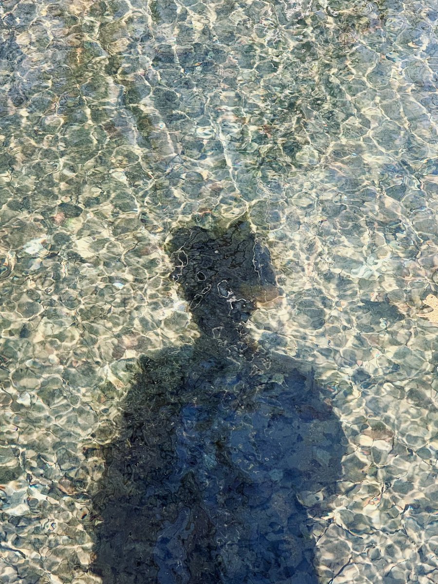 Alex Andru tweet media