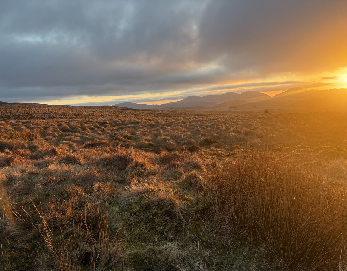 Matthew Green tweet media