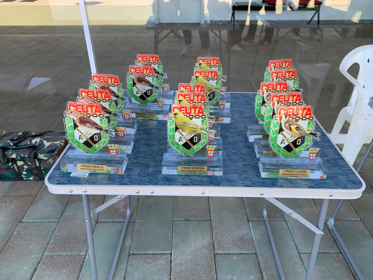 ICD - Instituto Ceutí de Deportes tweet media