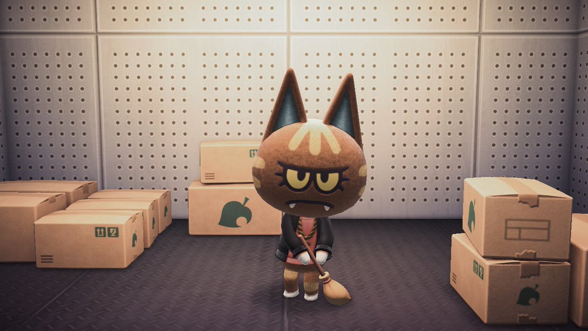 𝗌𝖺𝗍𝗈 tweet media