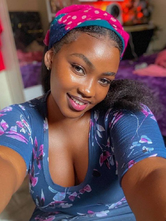 Mister Habby tweet media