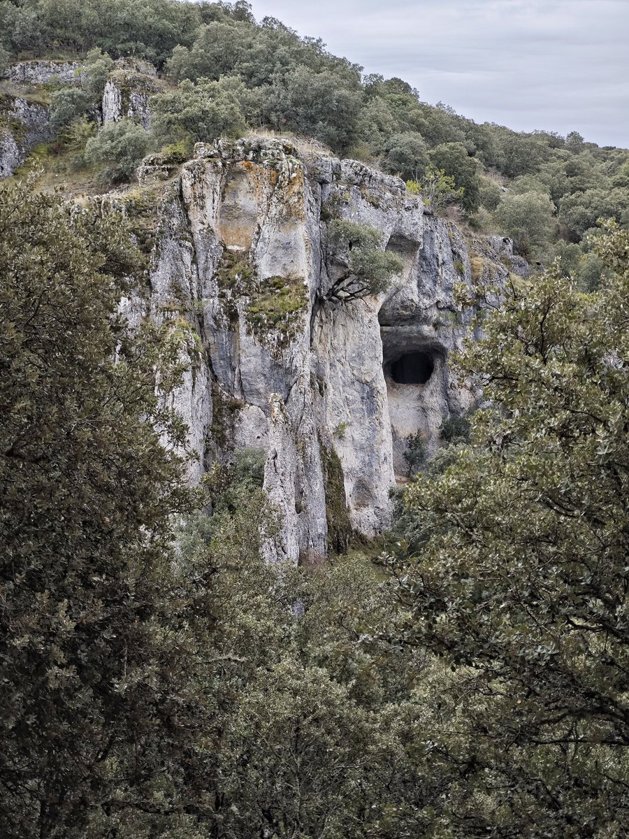 Al Filo Infrüngible tweet media