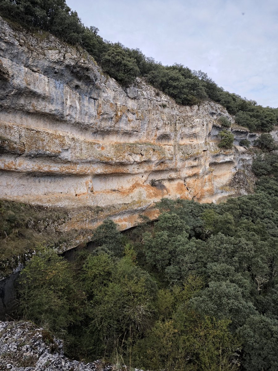 Al Filo Infrüngible tweet media