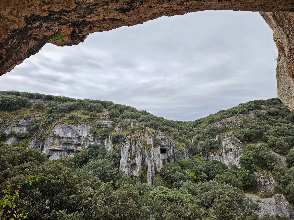 Al Filo Infrüngible tweet media