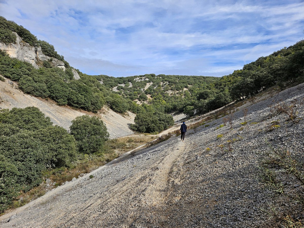 Al Filo Infrüngible tweet media