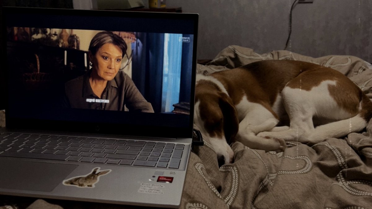 критикесса 💥 tweet media