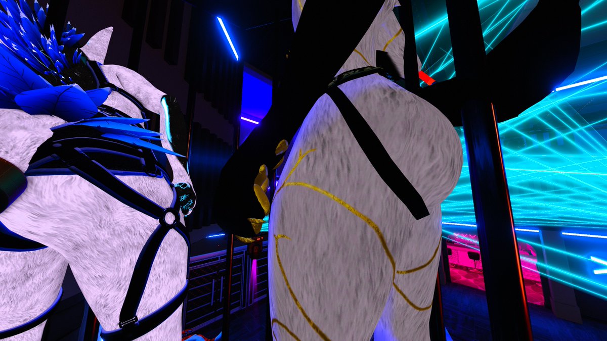 TheD_Dawg tweet media