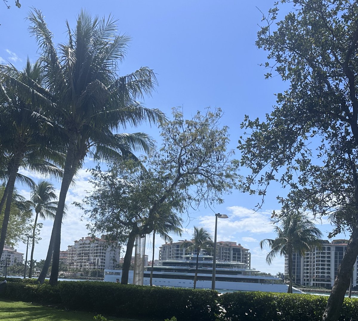 Anayansy tweet media