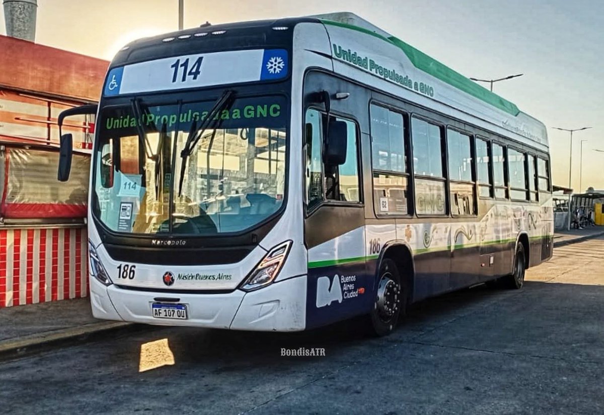 Bondis A Todo Ritmo tweet media