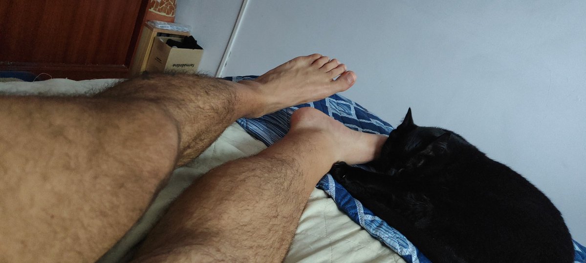 Esteban45 tweet media