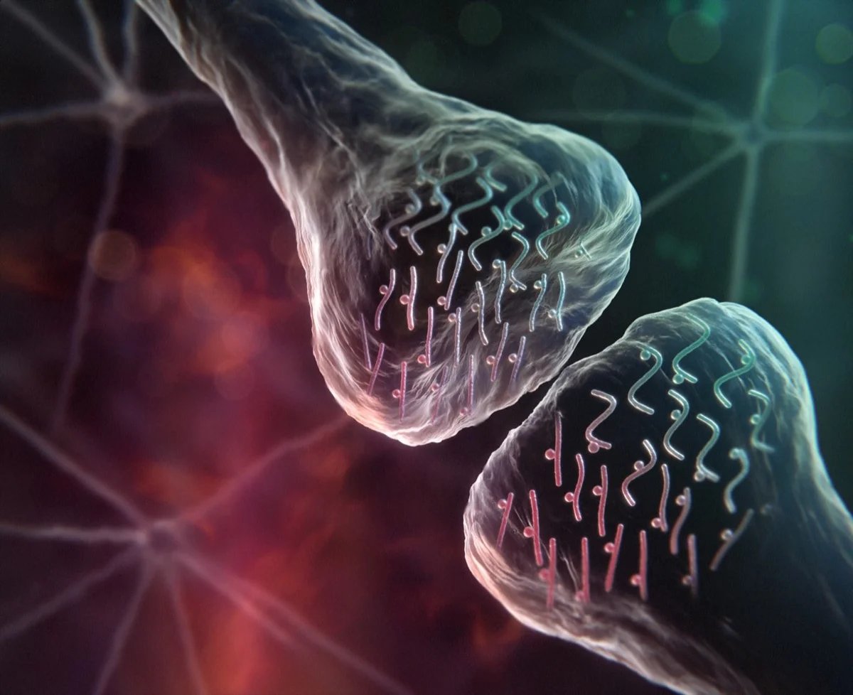 Night Sky Today tweet media