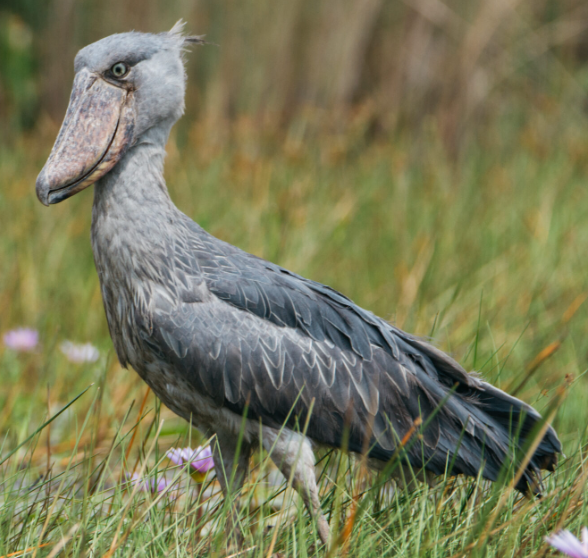 CoolioArt (3D Commissions OPEN!) tweet media