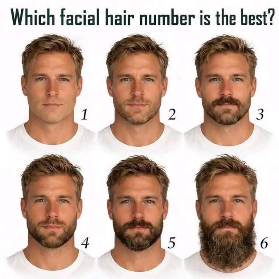 Dammit Bits tweet media