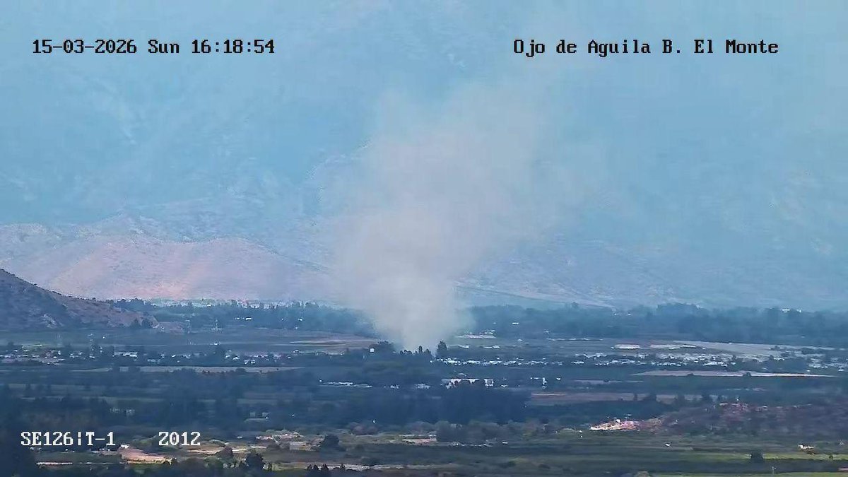 Alejandro Alegria 🌴 tweet media