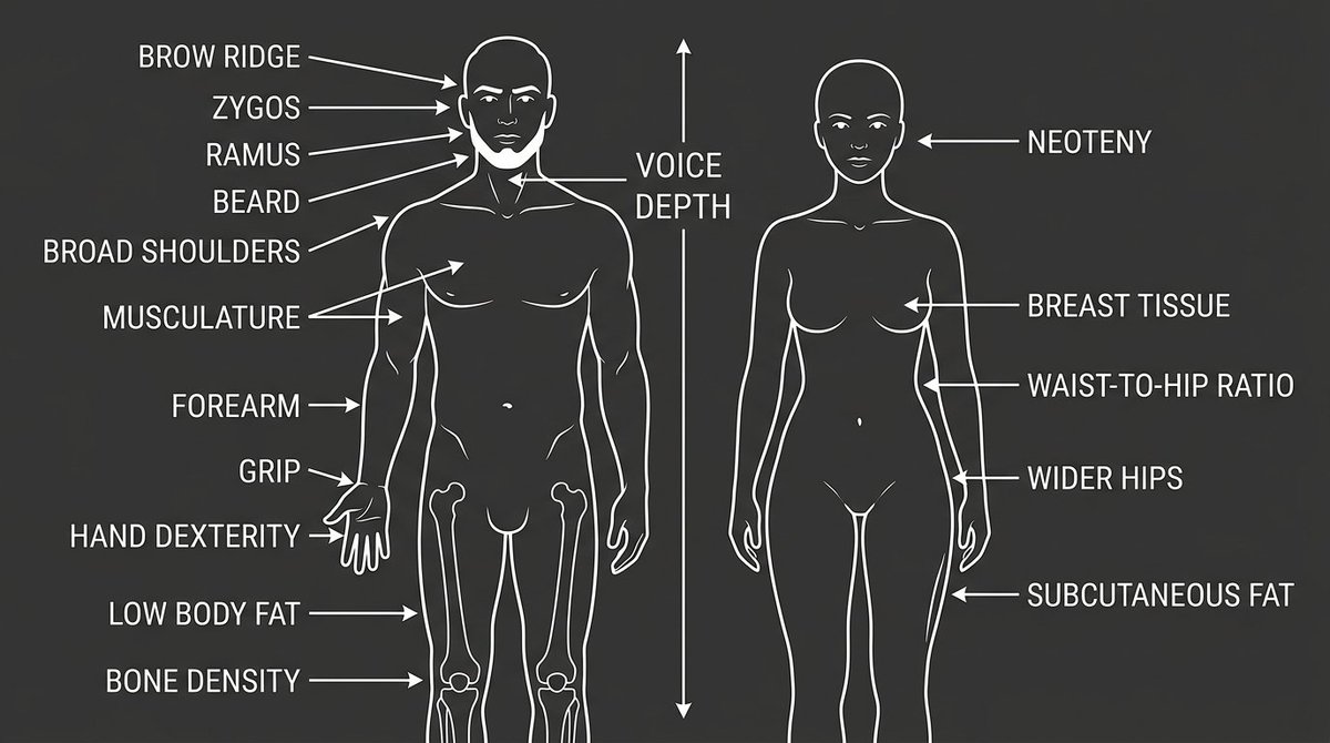 Meta Trav tweet media