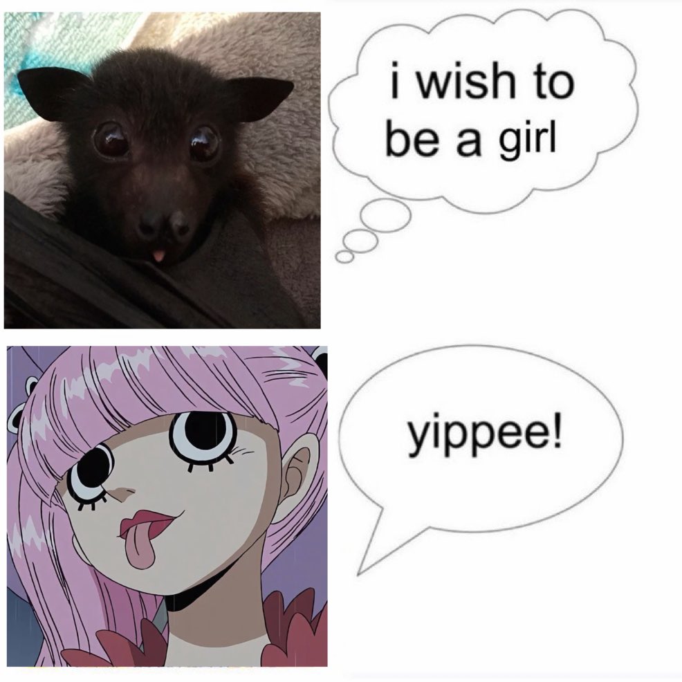 york 🧛‍♀️ tweet media