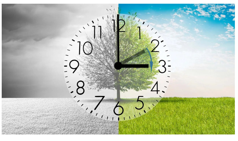 Halter Project tweet media